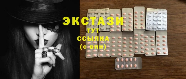 стаф Козловка