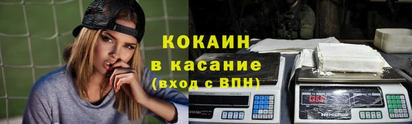 стаф Козловка