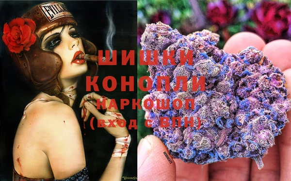 прущие крисы Козельск