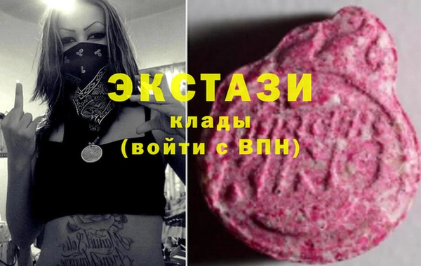 стаф Козловка