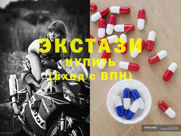 стаф Козловка