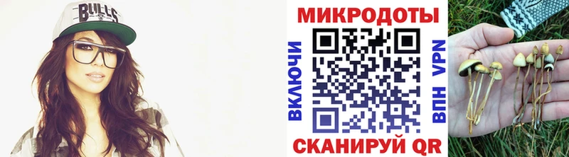 Галлюциногенные грибы Psilocybine cubensis  цены наркотик  Мышкин 